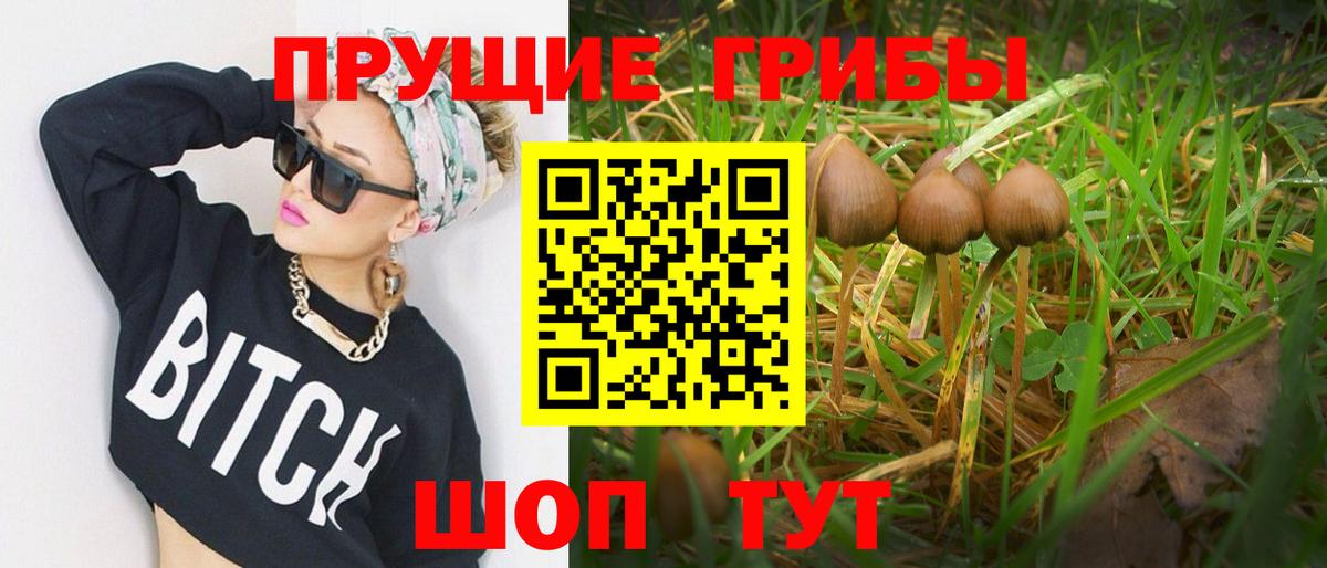 Псилоцибиновые грибы ЛСД Котлас